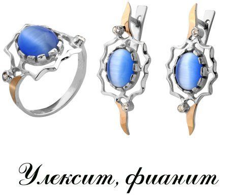Сережки (PK456) PK456E фото