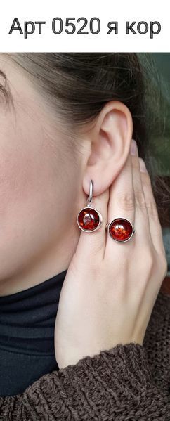 Сережки (V520) V520E фото